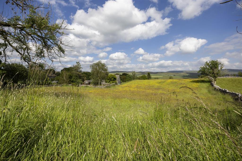 Wild Meadowland