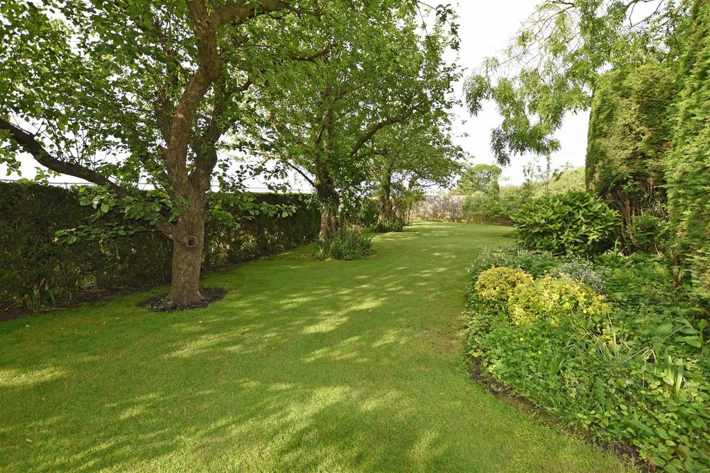 Garden ii.jpg
