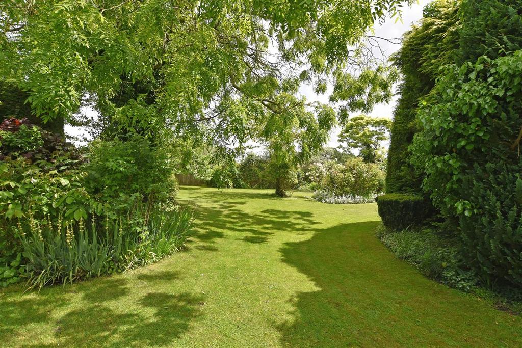 Garden iii.jpg