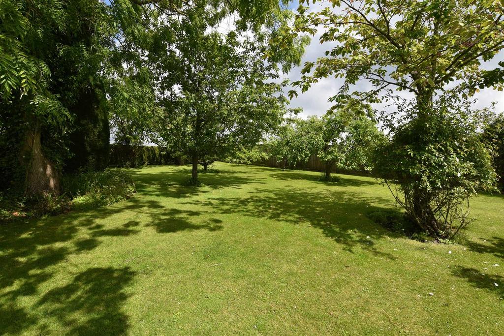 Garden i.jpg