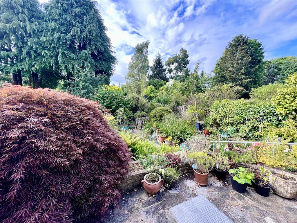 Delightful established rear garden
