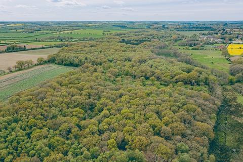 Farm land for sale, Woodland, Litcham Warren, Litcham, King's Lynn, Norfolk, PE32 2RW