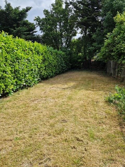 0 FC075 D5-631 B-4469-B580-EC282 F9 E31 A9 1 105 c.jpeg