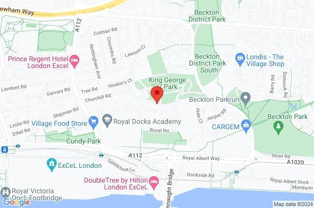 Google Maps Image