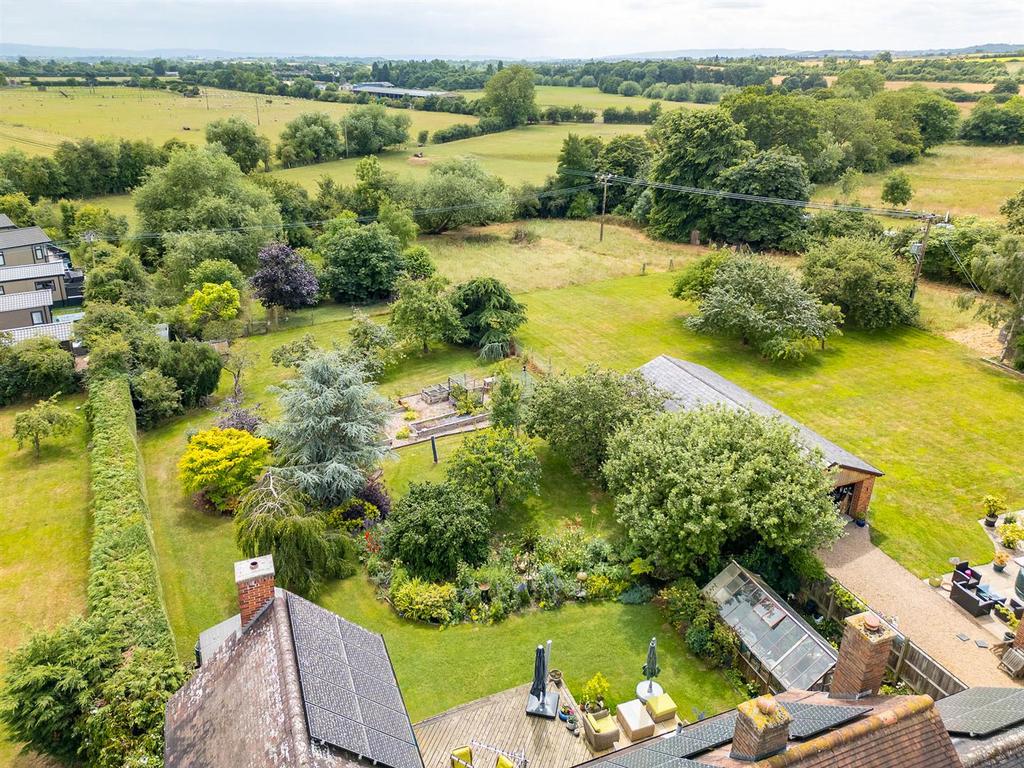 Aerial view of garden