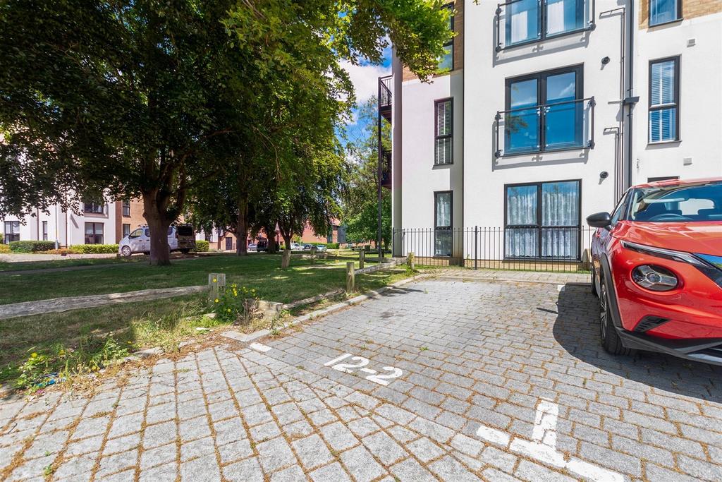 Driveway/Parking