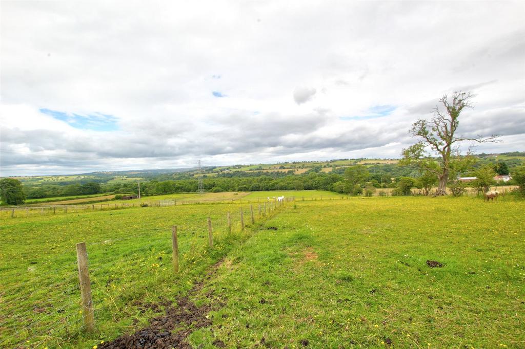 Lower Fields &amp; View