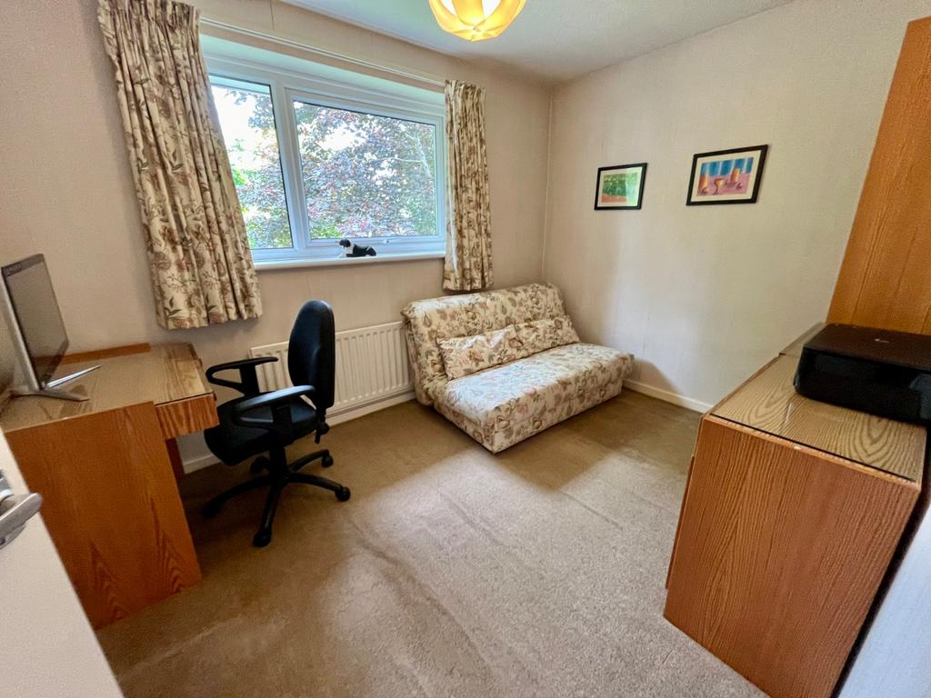 Picture 20