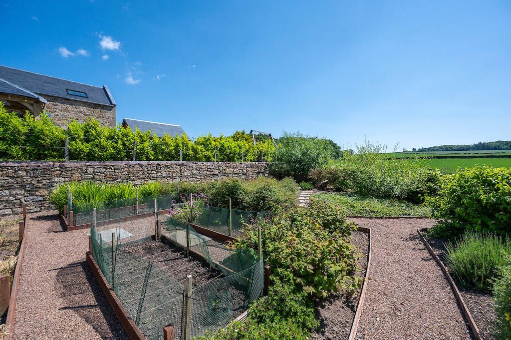 Vegetable Garden