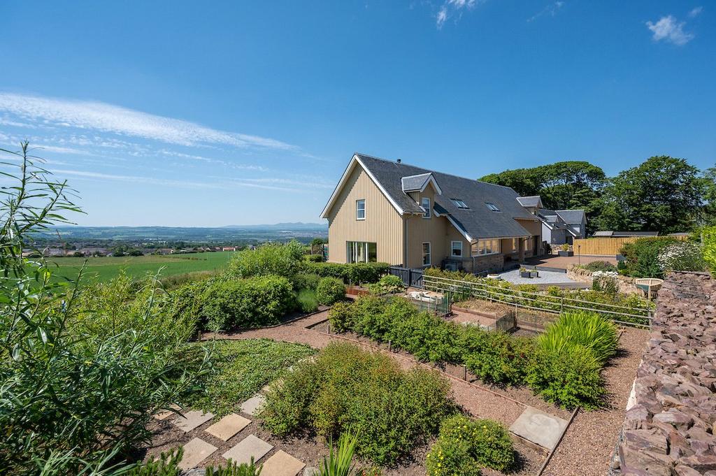 Vegetable Garden