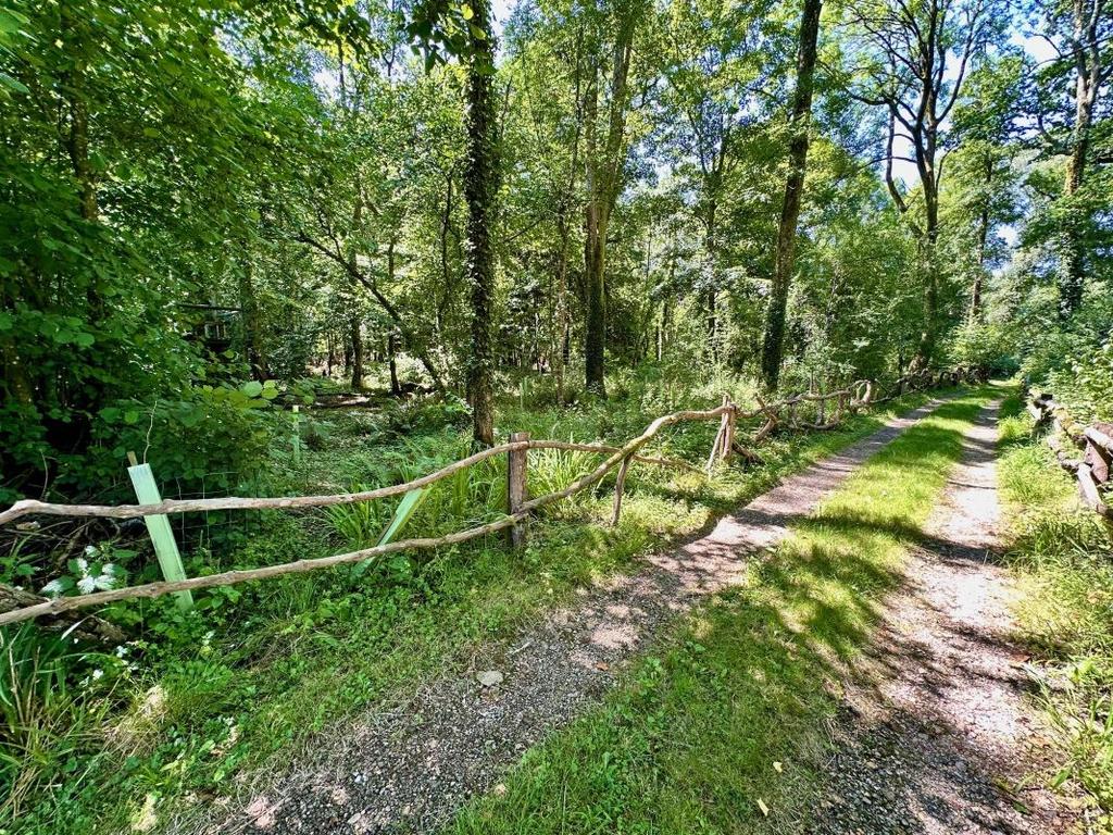 Williams Wood, Uddens Drive... Land for sale £80,000