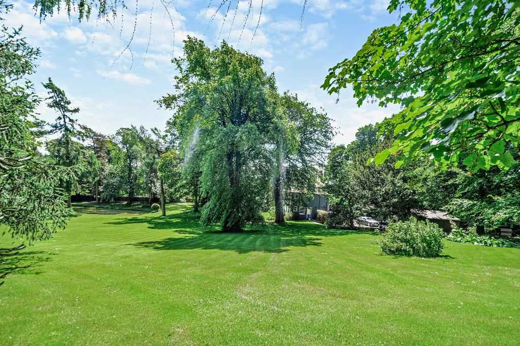 Tree Lined Grounds