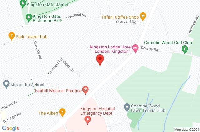 Google Maps Image