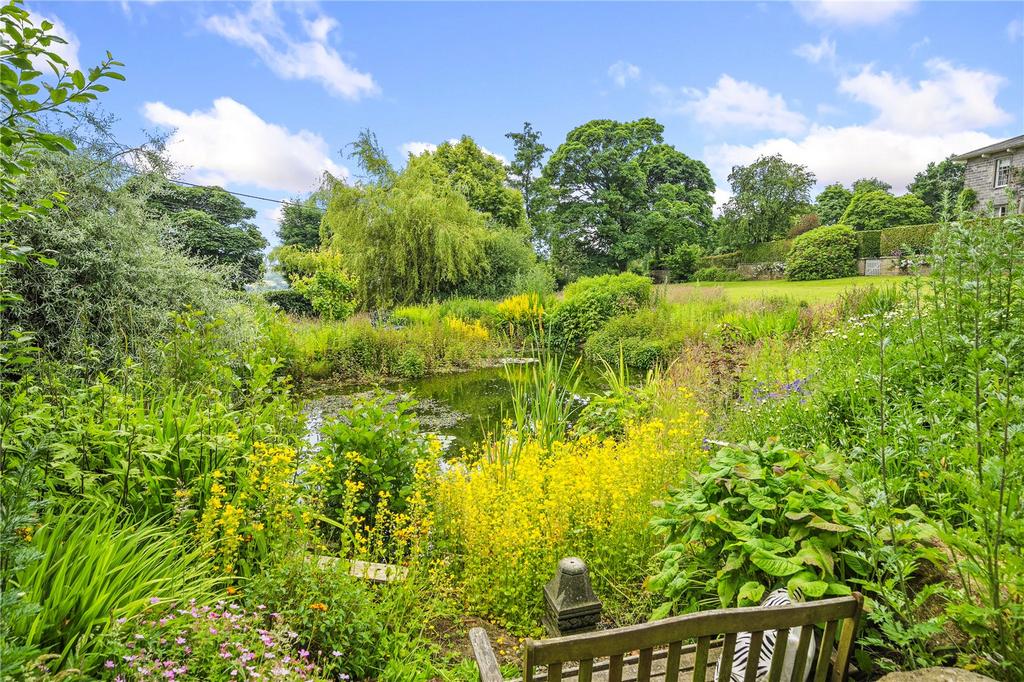 Wildlife Pond