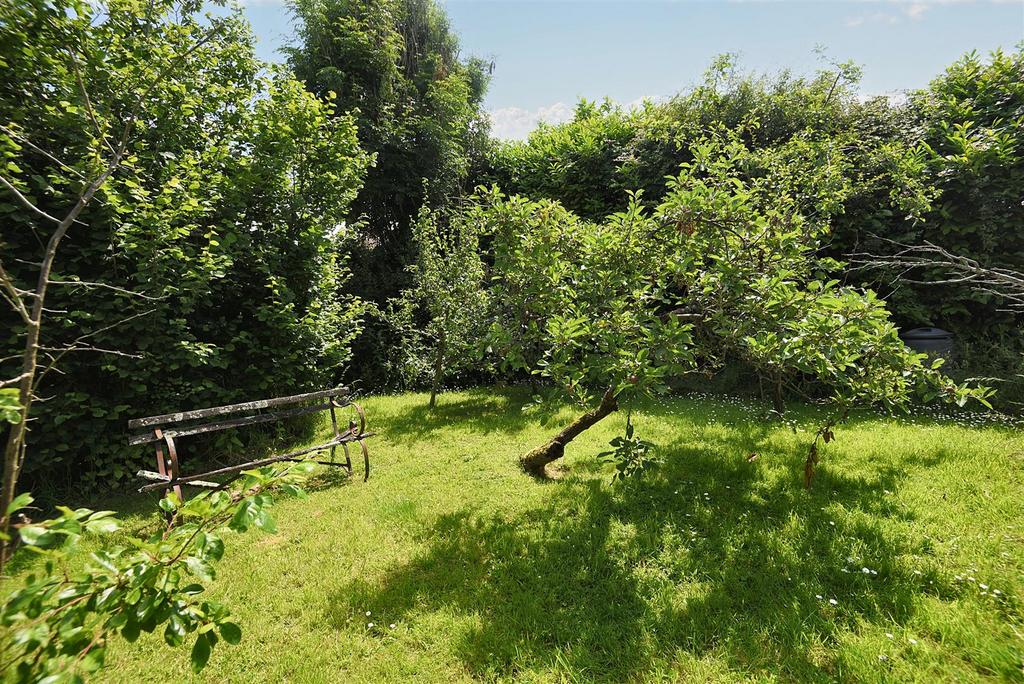 Orchard