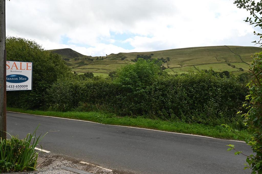 DSC 5568.jpg