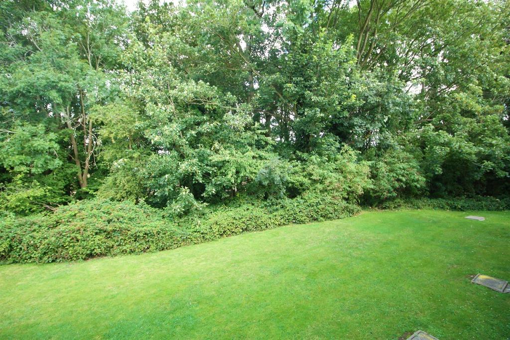 Communal gardens.jpg