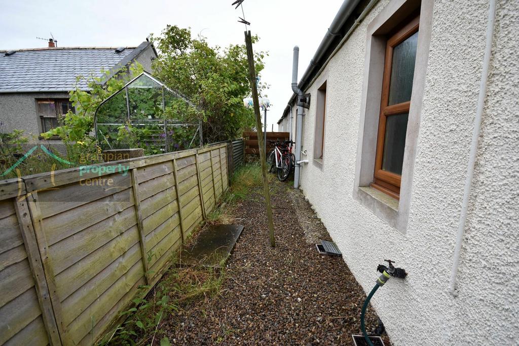 Back garden