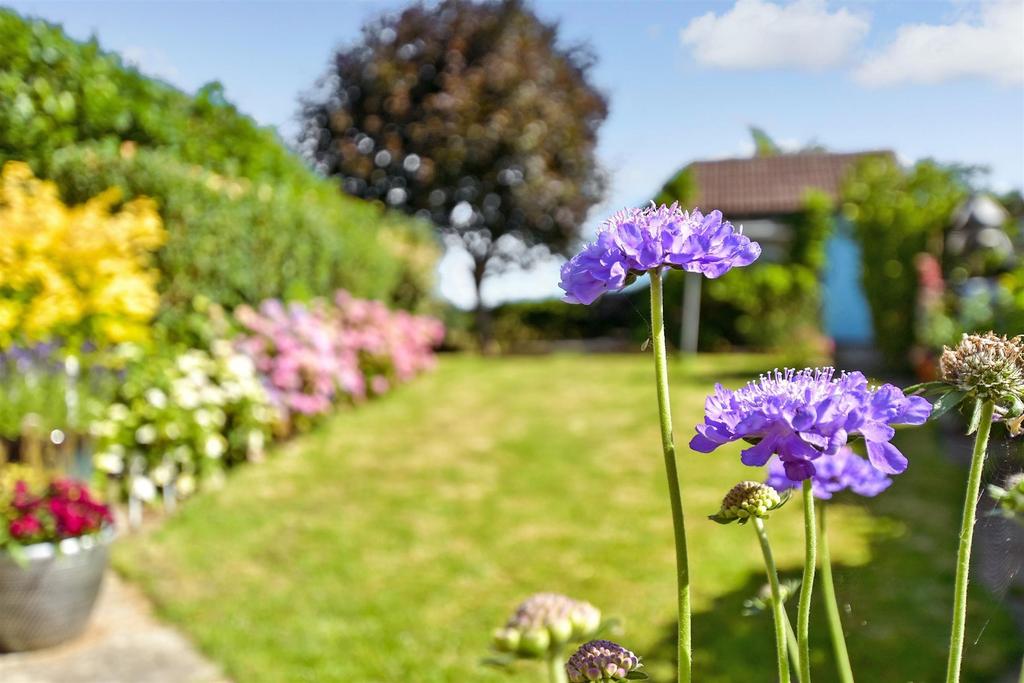 External Lifestyle Photograph