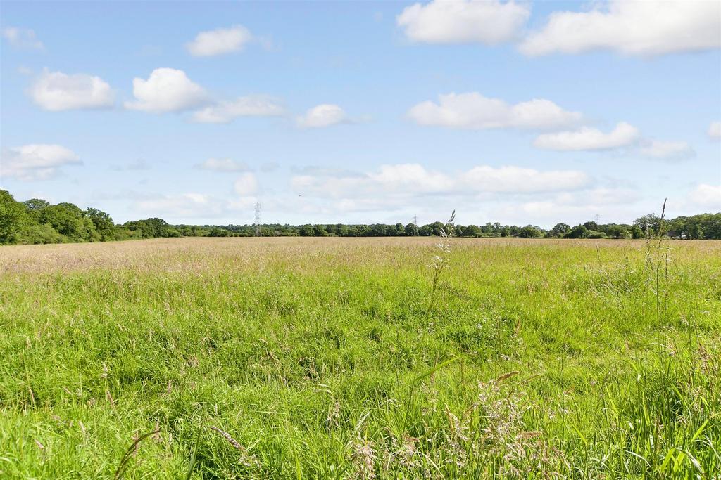 Surrounding Area