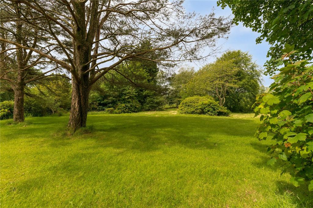 Grounds