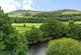 Greenfield