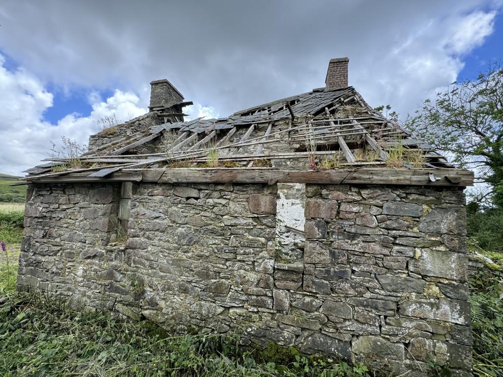 The property