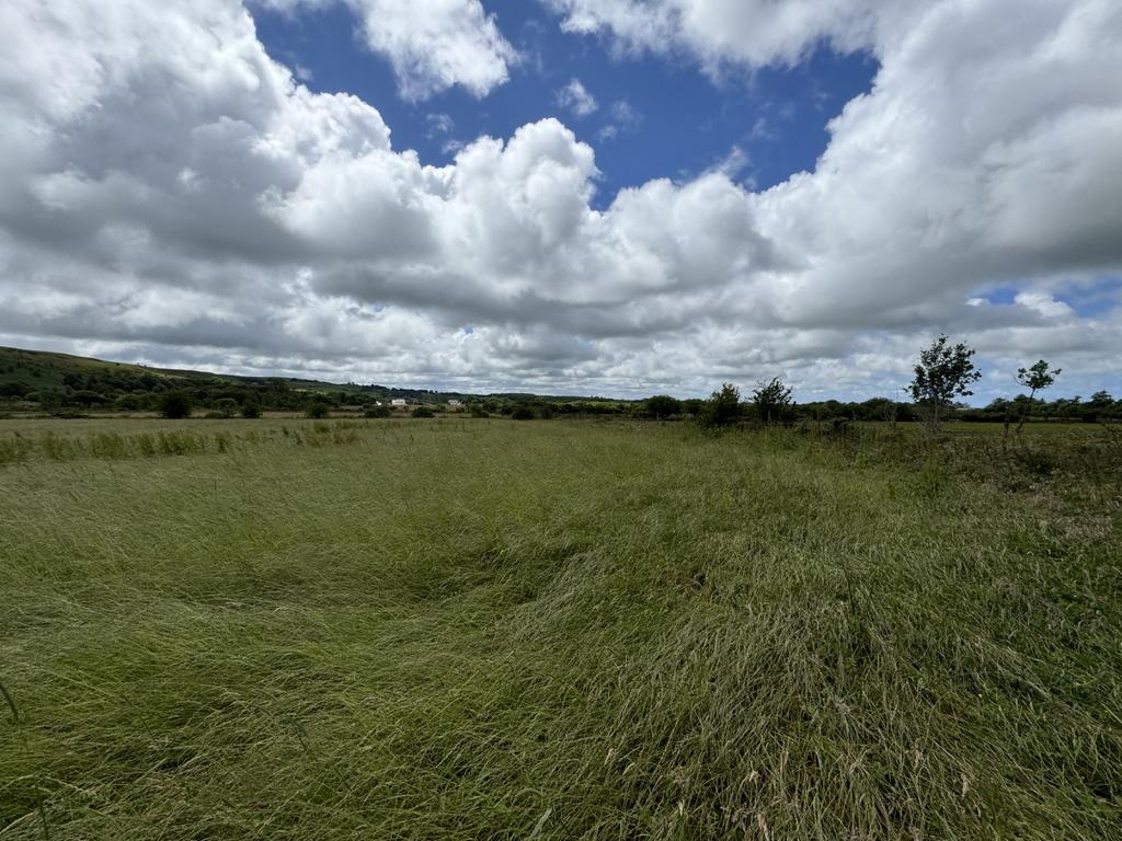 The land