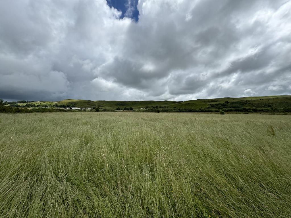 The land