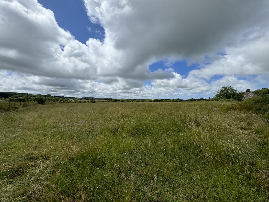 The land