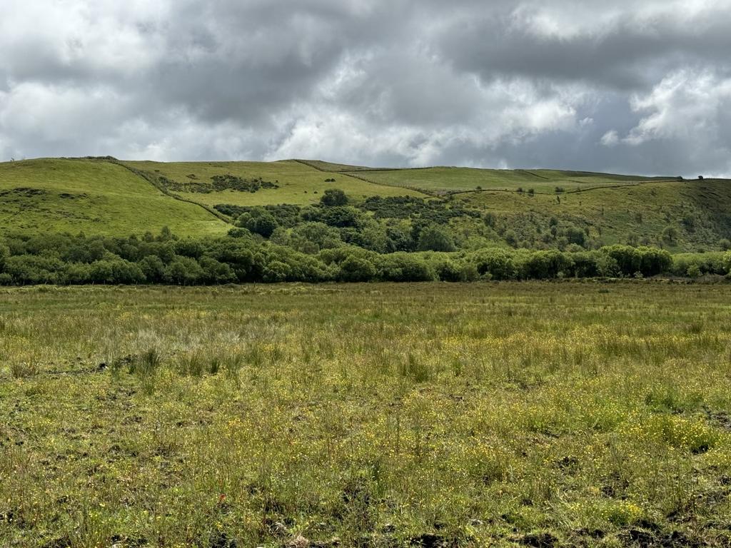The land