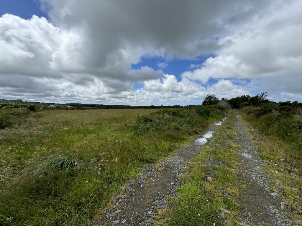 The land