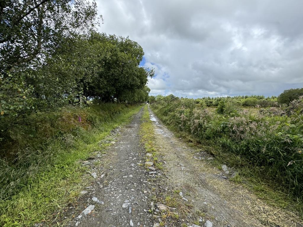 The land