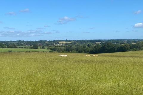 Farm land for sale, Whitebread Lane, Beckley, East Sussex TN31