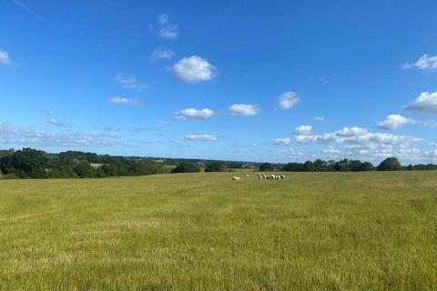 Farm land for sale, Whitebread Lane, Beckley, East Sussex TN31