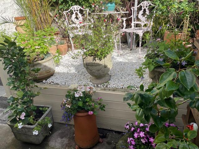 Rear garden