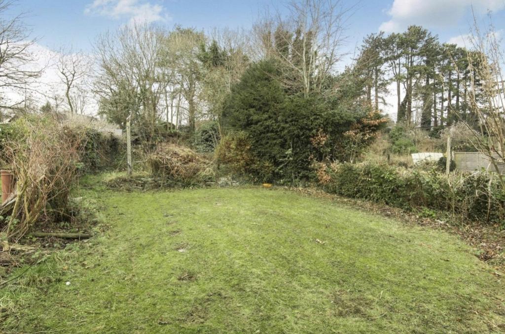 Back garden