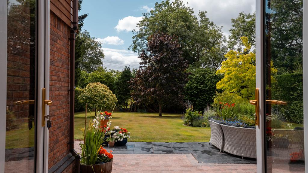 View from Sun Room