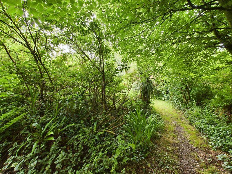 Walkway/path