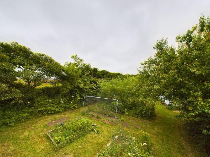 Side Garden