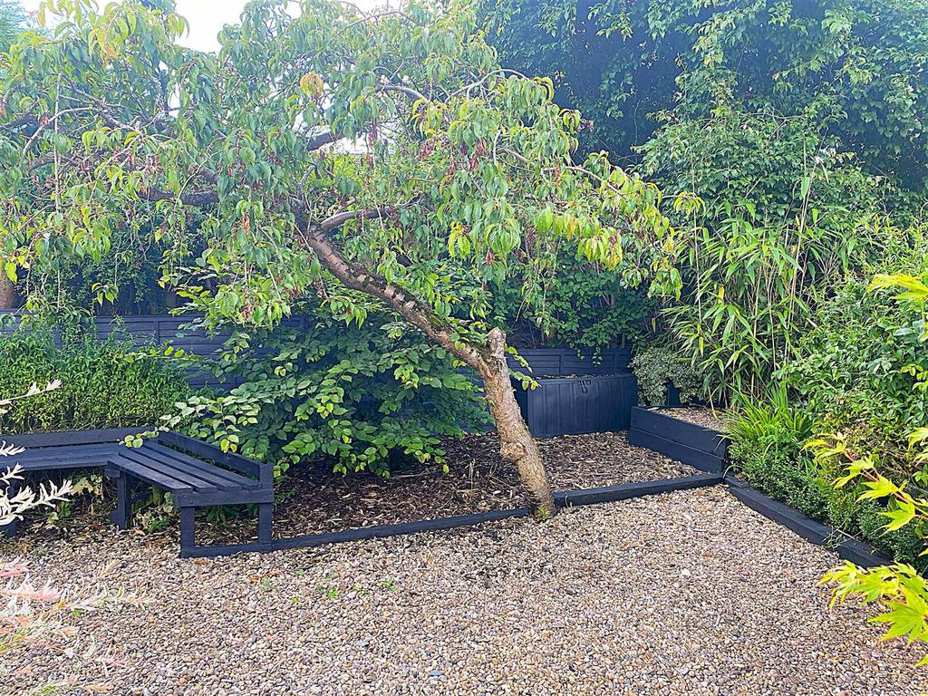 Garden 3