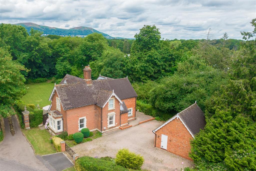 20240708-DJI 0003.jpg