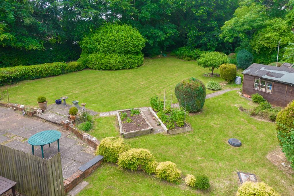 20240620-DJI 0965.jpg