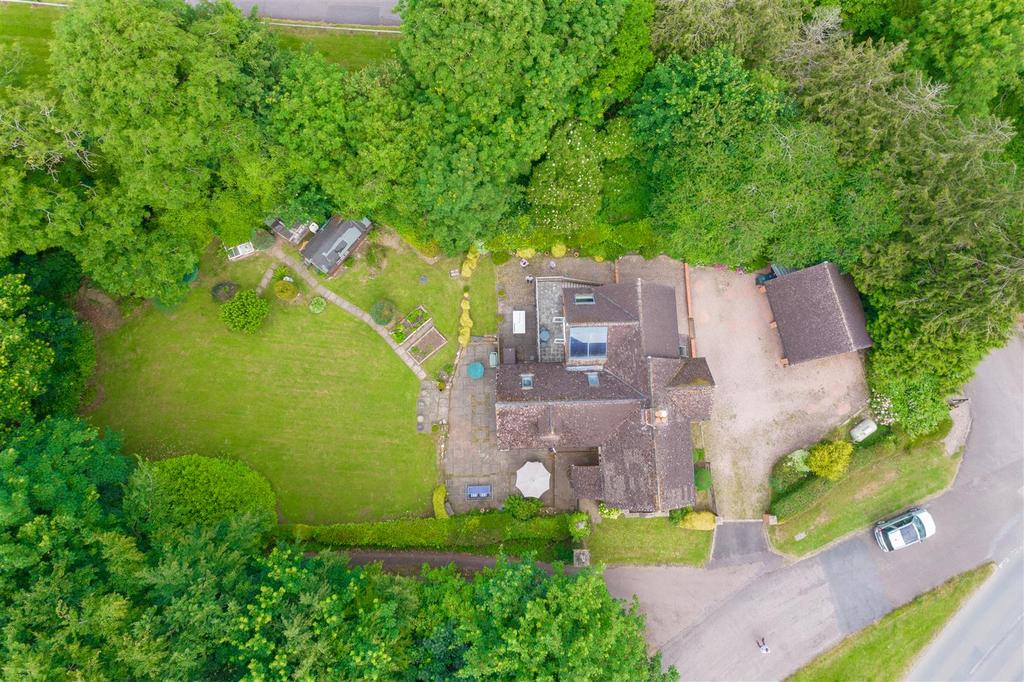 20240620-DJI 0963.jpg