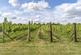 Additional image 23 of Poulton, Cirencester, GL7