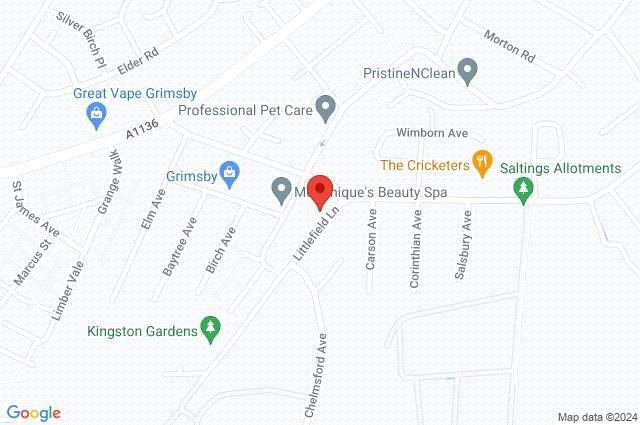 Google Maps Image