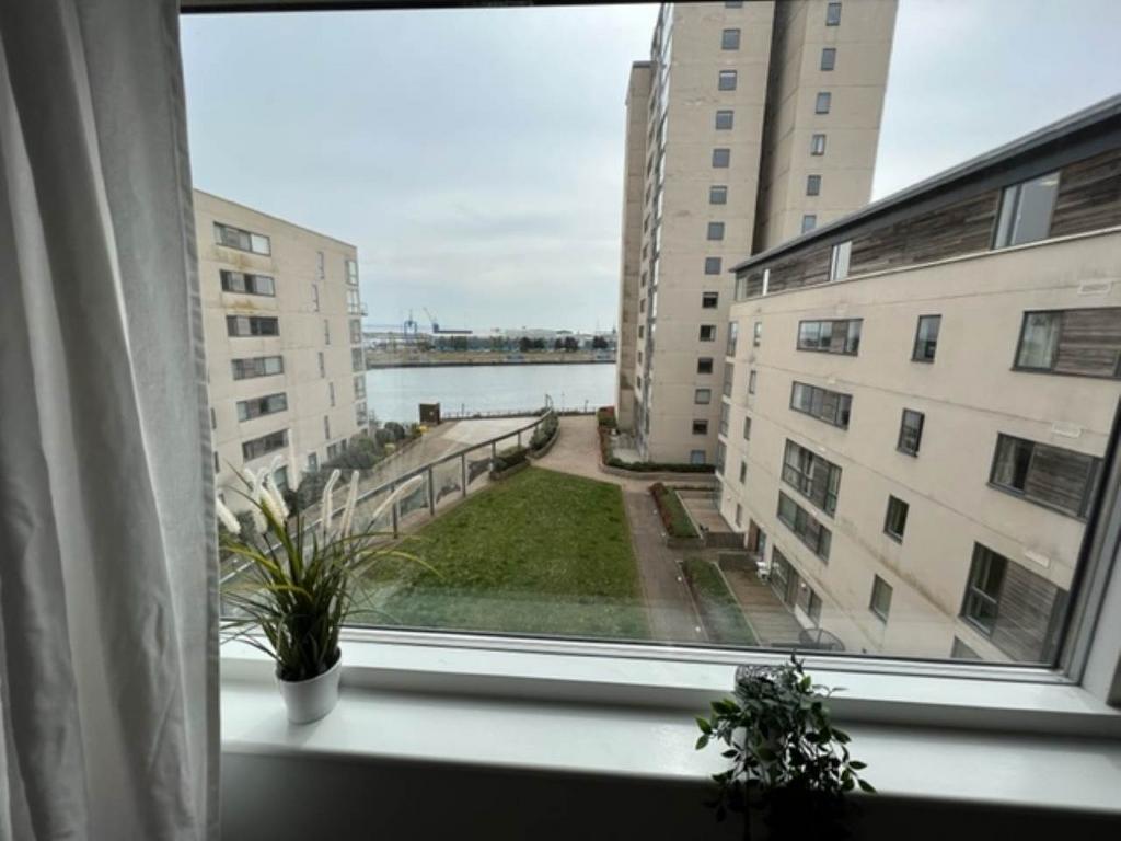 452 altair-View
