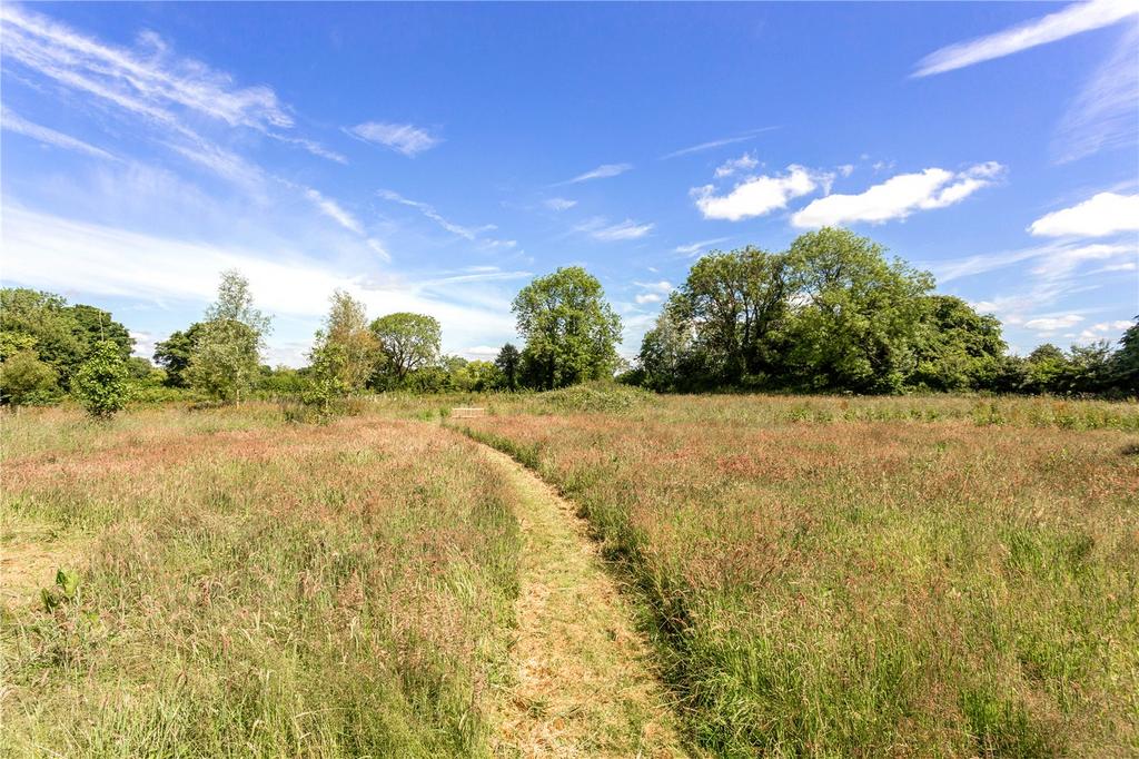 Wild Meadows