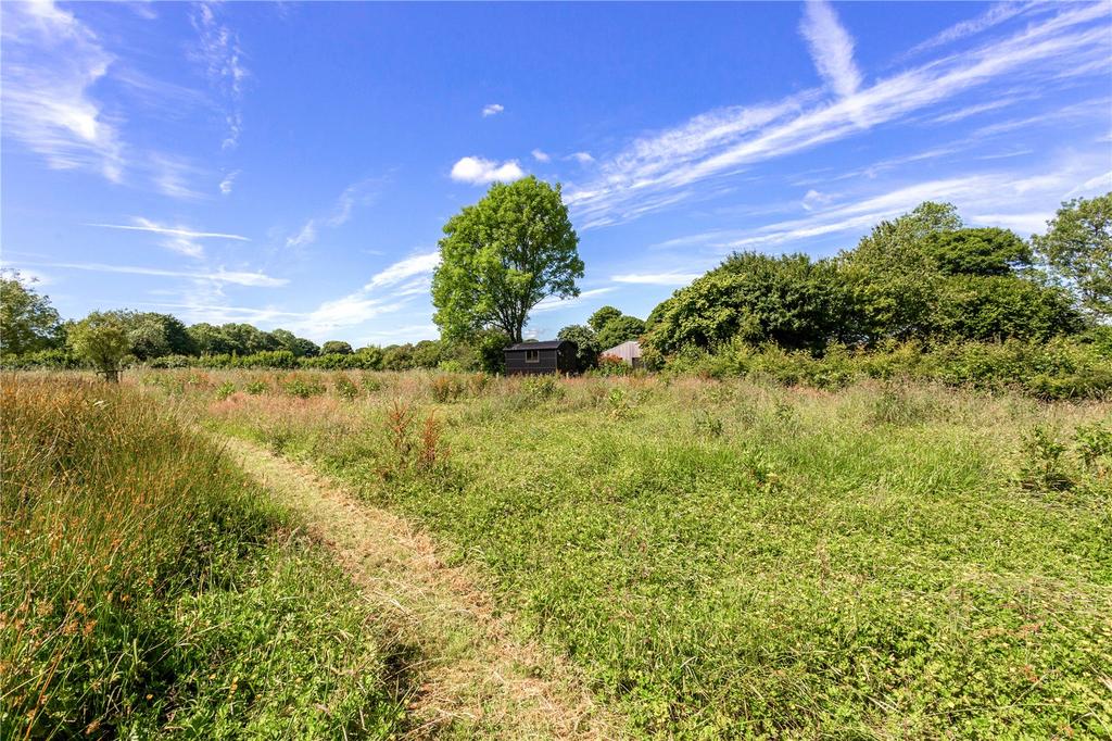 Wild Meadows