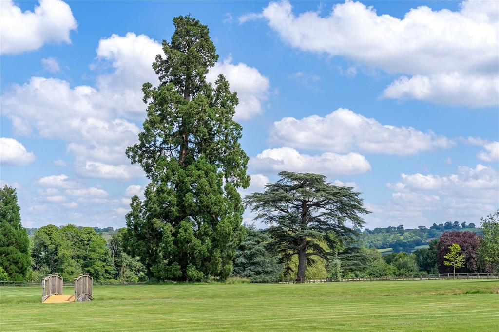 Grounds &amp; View